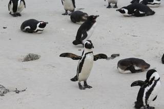 Astesani Vacanze - 8