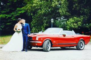 American Wedding Cars - 14