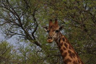 Astesani Vacanze - 9