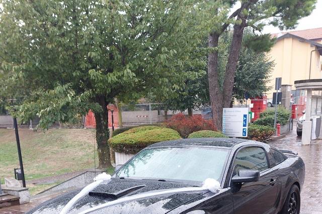 Noleggio Ford Mustang GT V8 5
