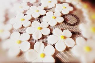 Eleonora Towanda - 6