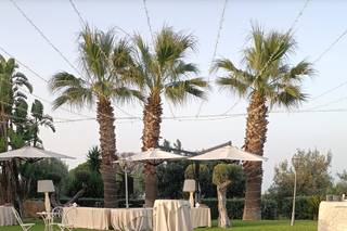 Villa Musco - 11