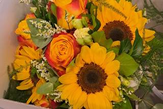 Il giardino delle meraviglie - 29