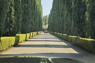 Villa Paolina - 16