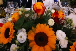 Il giardino delle meraviglie - 30