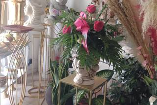 Piante e Fiori Contino - 5