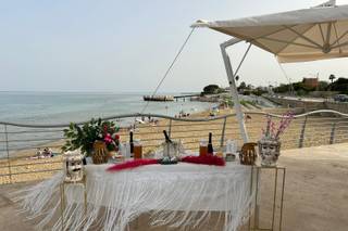 Piante e Fiori Contino - 6