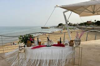 Piante e Fiori Contino - 7