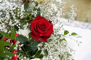 Marco Priarollo Photographer - 16