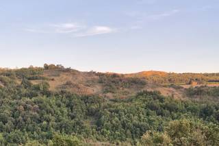 Tenuta di Aljano - 8