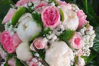 Fiorista Giacinto - 10