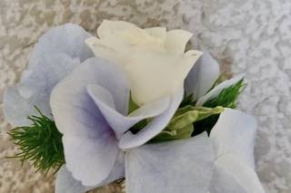 M'Ama Non M'Ama di Francesca Gargano - 26