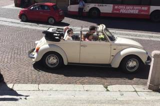 Maggiolino Cabrio Bianco - 8
