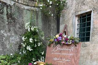 Carolina Floral Designer - 16