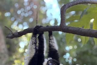 Viaggi Beltrami - 10