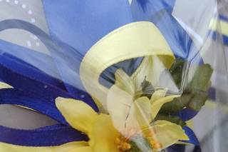 La Griffe di Maurizi Anna - 7