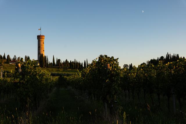 Light Tales Photography di Fabio e Andrea - 4