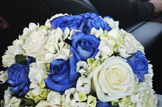 Magnolia Fiori & Piante - 5