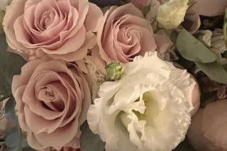 Piante e Fiori Valsecchi - 12