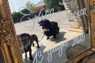 Oh my dog wedding - 11
