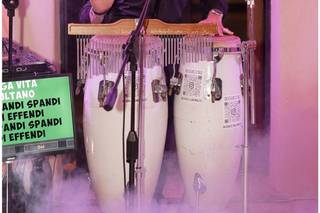 Everglades Musica e Animazione - 7