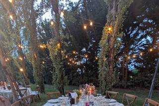 Il Cortile - 5