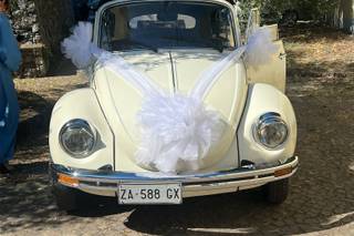 Maggiolone Eventi - 6