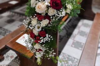 Vivaiosettemetri - 14