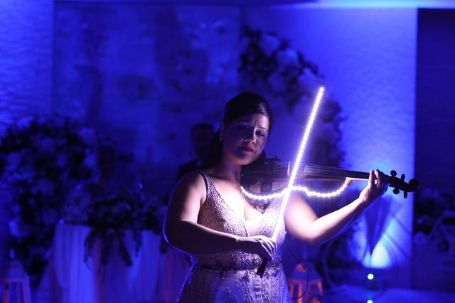 Antonellaviolin - 1