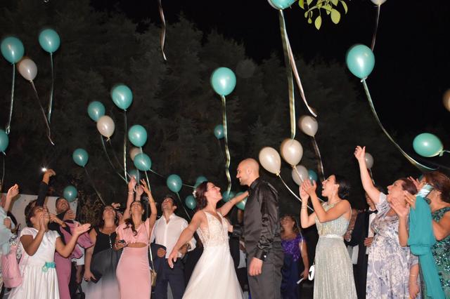 Fresh Animazione - 4