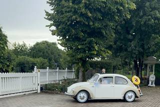 Un Sogno Vintage - 5