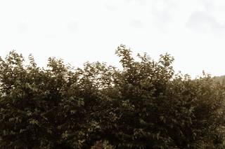 Giuliano Lo Re Photography - 24
