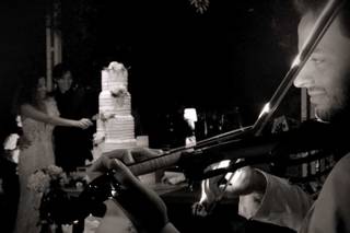 Convertini Violin Show - 5