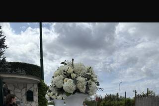 Fiorilandia di Falco Luigi - 7