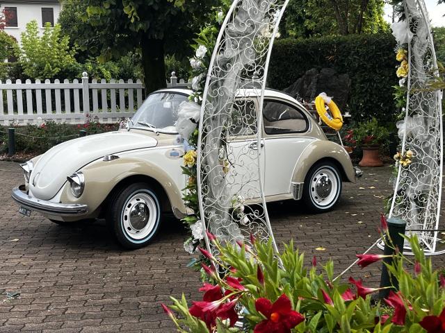 Un Sogno Vintage - 1