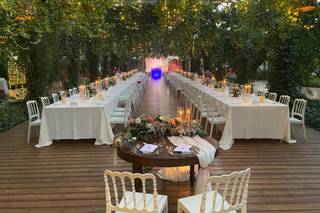 La Fragola de Bosch - 7