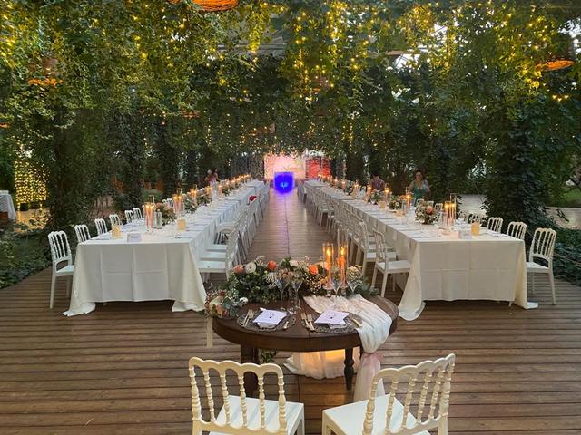 La Fragola de Bosch - 3