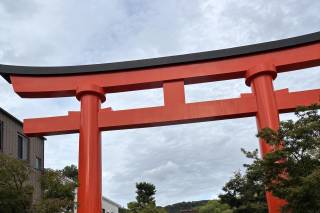 Partenze in corso - 18