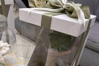 Golino Home Design - 6
