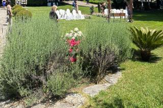 Tenuta il Pilaccio nel Cilento - 5