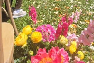 Fiorarte Flower Design - 12