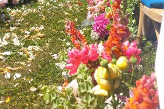 Fiorarte Flower Design - 14