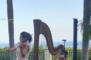 Not Just Wedding - 5