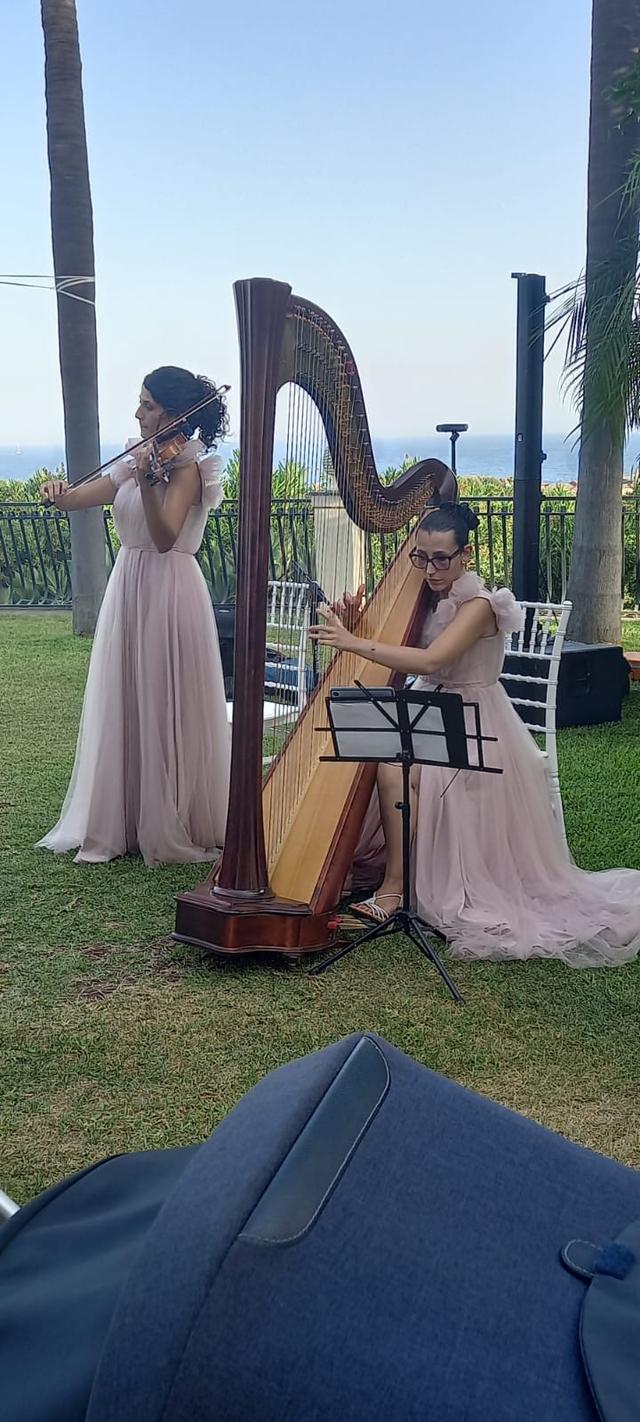Not Just Wedding - 2