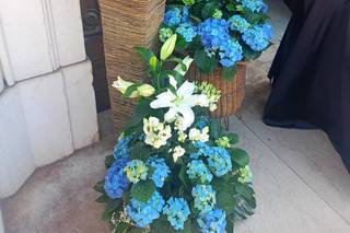 Fiori e Colori - 5