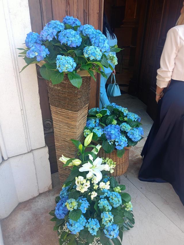 Fiori e Colori - 2