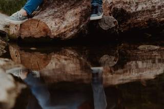 The Olive Theory - 7