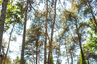 Mstudio foto video - 12