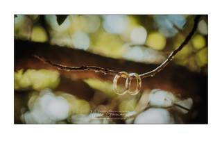 Milco Graziani Wedding Photography - 14