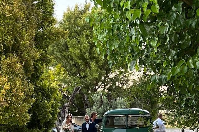 Pulmino e Maggiolino Cabrio Volkswagen 3